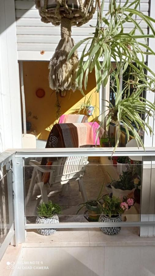 Casa Del Buho Apartment Torrevieja Exterior photo